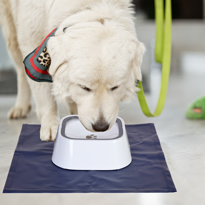 Floating Pet Water Bowl with Waterproof Mat_1