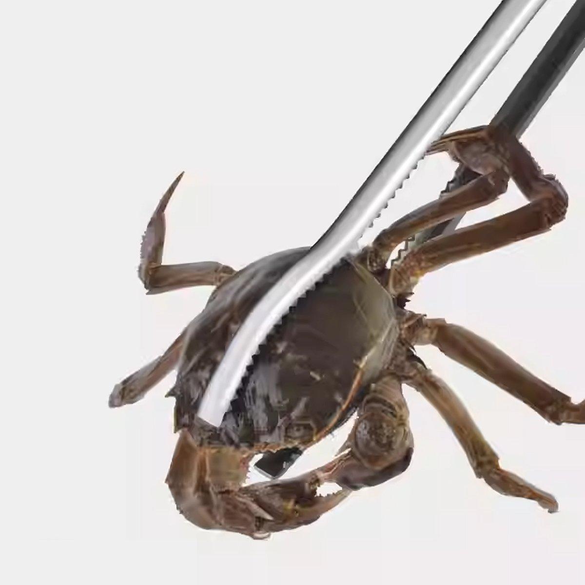 2pcs Heavy Duty Stainless Steel Fishing Clamps Trash Catching Marine Tools