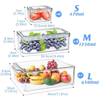 10PCS Clear PET Refrigerator Storage Box Food Grade Fruit Freezer Organizer Set