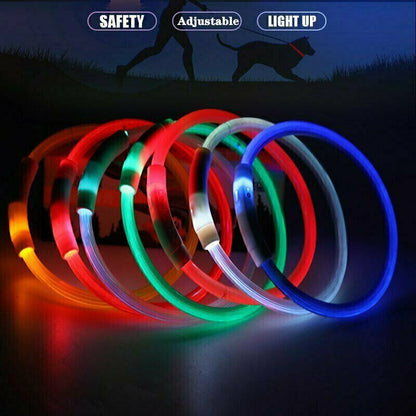 Rechargeable Night LED Dog Collar USB Glow Flashing Light Up Pet Collars Safety-Red-Diameter Length-50cm