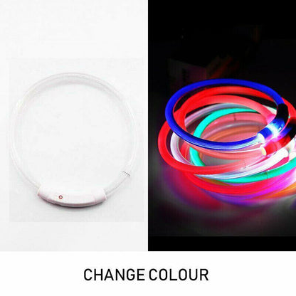 Rechargeable Night LED Dog Collar USB Glow Flashing Light Up Pet Collars Safety-Red-Diameter Length-50cm