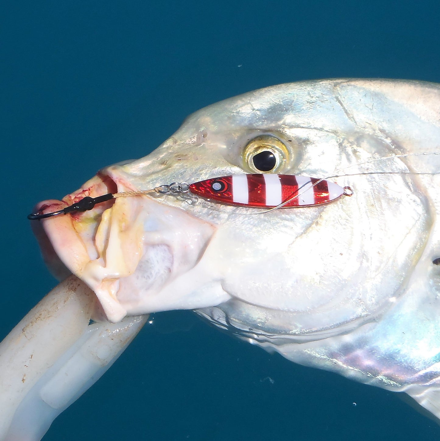 The Reef Jigger Gift Pack